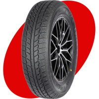 Evergreen EW62 175/70 R14 88T