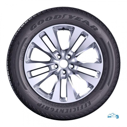 Goodyear EfficientGrip Performance 205/55 R15 88V TL