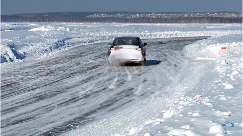 Dunlop SP Winter Ice 03 205/65 R16 99T (шип.)