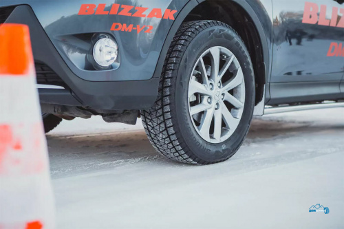 Bridgestone Blizzak DM-V2 255/55 R20 110T XL  TL