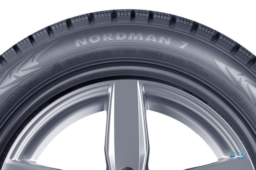 Nokian Nordman 7 205/50 R17 93T (шип.)