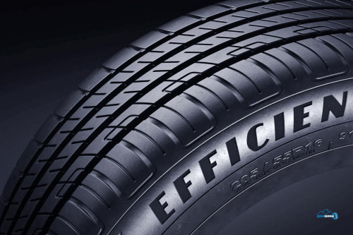 Goodyear EfficientGrip Performance 205/55 R15 88V TL