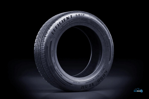 Goodyear EfficientGrip Performance 205/55 R15 88V TL